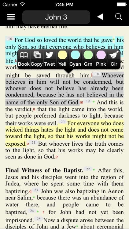 Catholic New American Bible RE screenshot-4