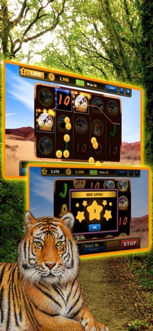 Wild Tiger Slots Machine Gamesのおすすめ画像5