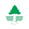 Limbach icon