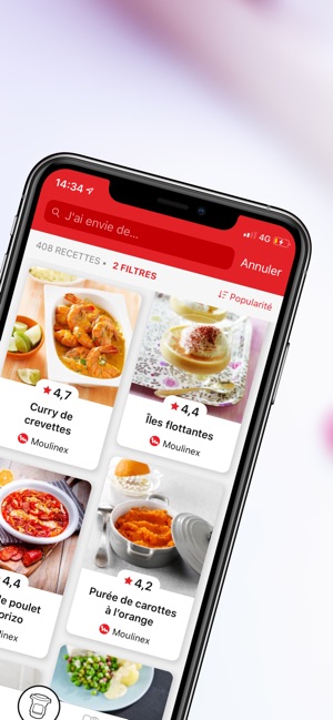moulinex companion appli moulinex companion appli