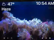 aquarium 4k - ultra hd video ipad resimleri 2