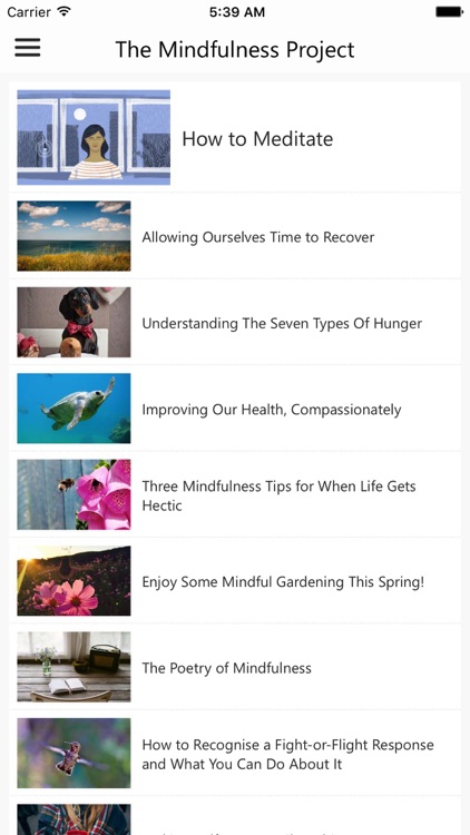 The Mindfulness Project App