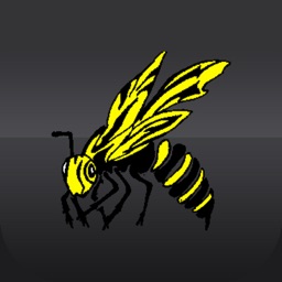 Hackett School District