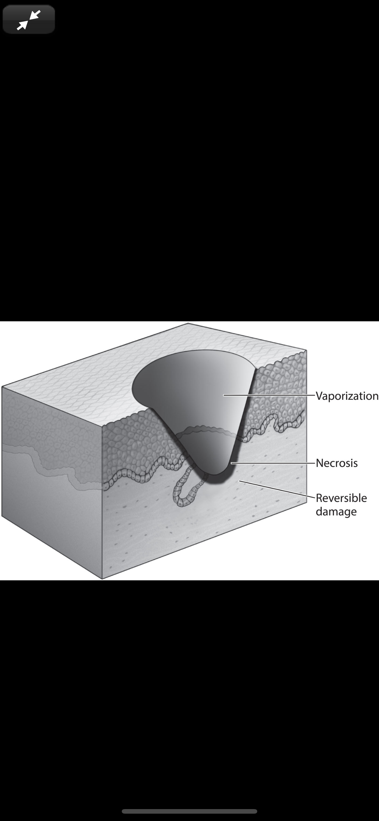KJ Lee's Otolaryngology, 12/E screenshot 7