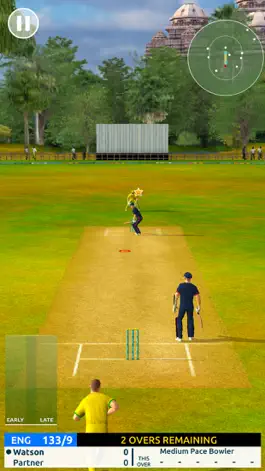 Game screenshot Cricket Megastar apk