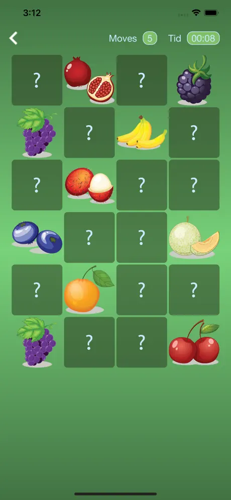 Fruit and Match