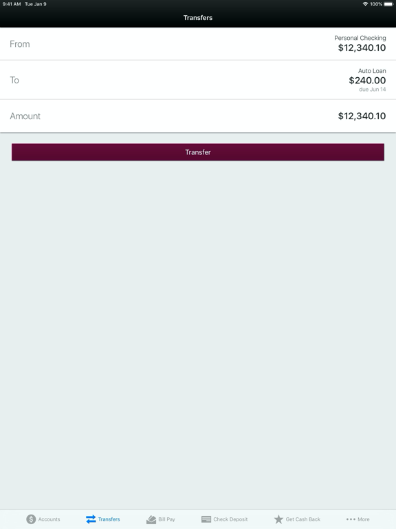 Benchmark Community Bank iPad screenshot 4 - Finance app