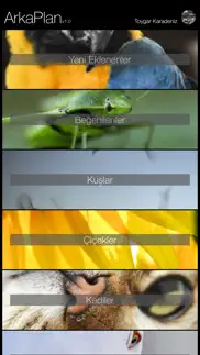 arkaplan iphone resimleri 2