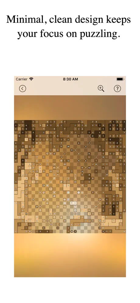 -Pixel Puzzles-