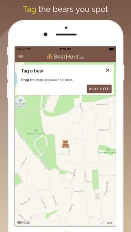 Game screenshot BearHunt.co apk
