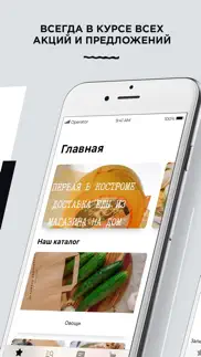 Губернские продукты iphone screenshot 1