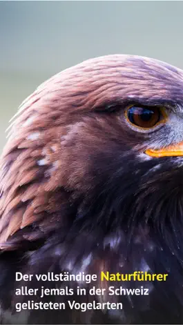 Game screenshot Alle Vögel Schweiz - Fotoguide apk