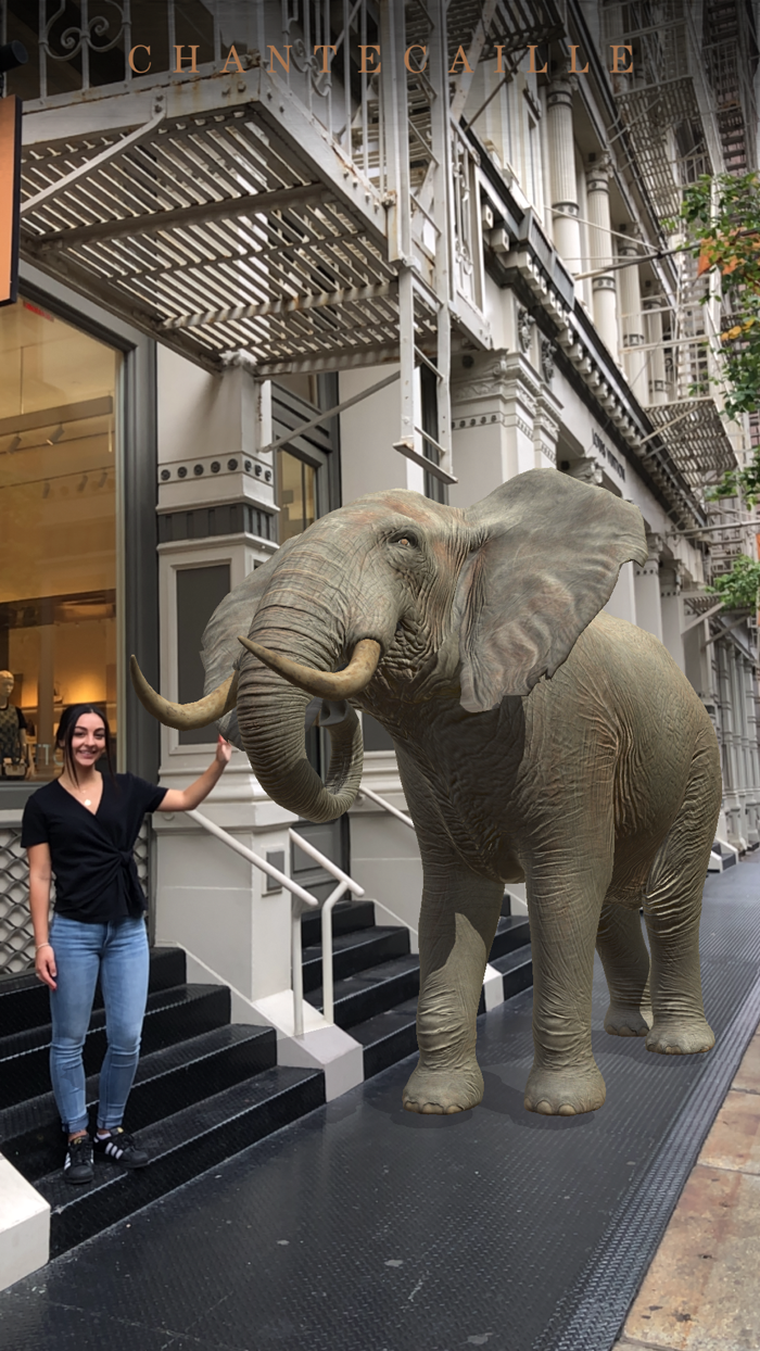 Chantecaille Wild Beauty