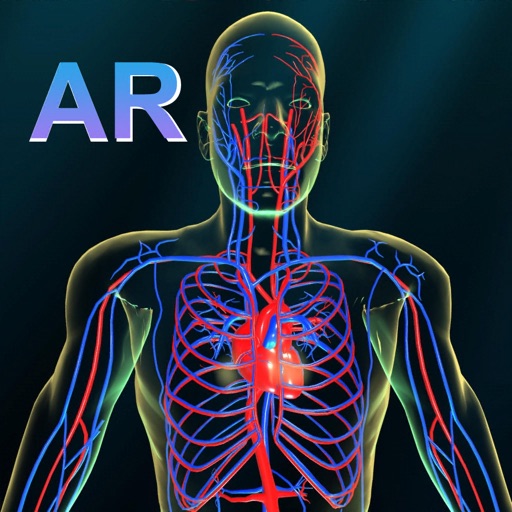 AR Vascular system