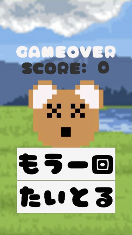 くまあつめ