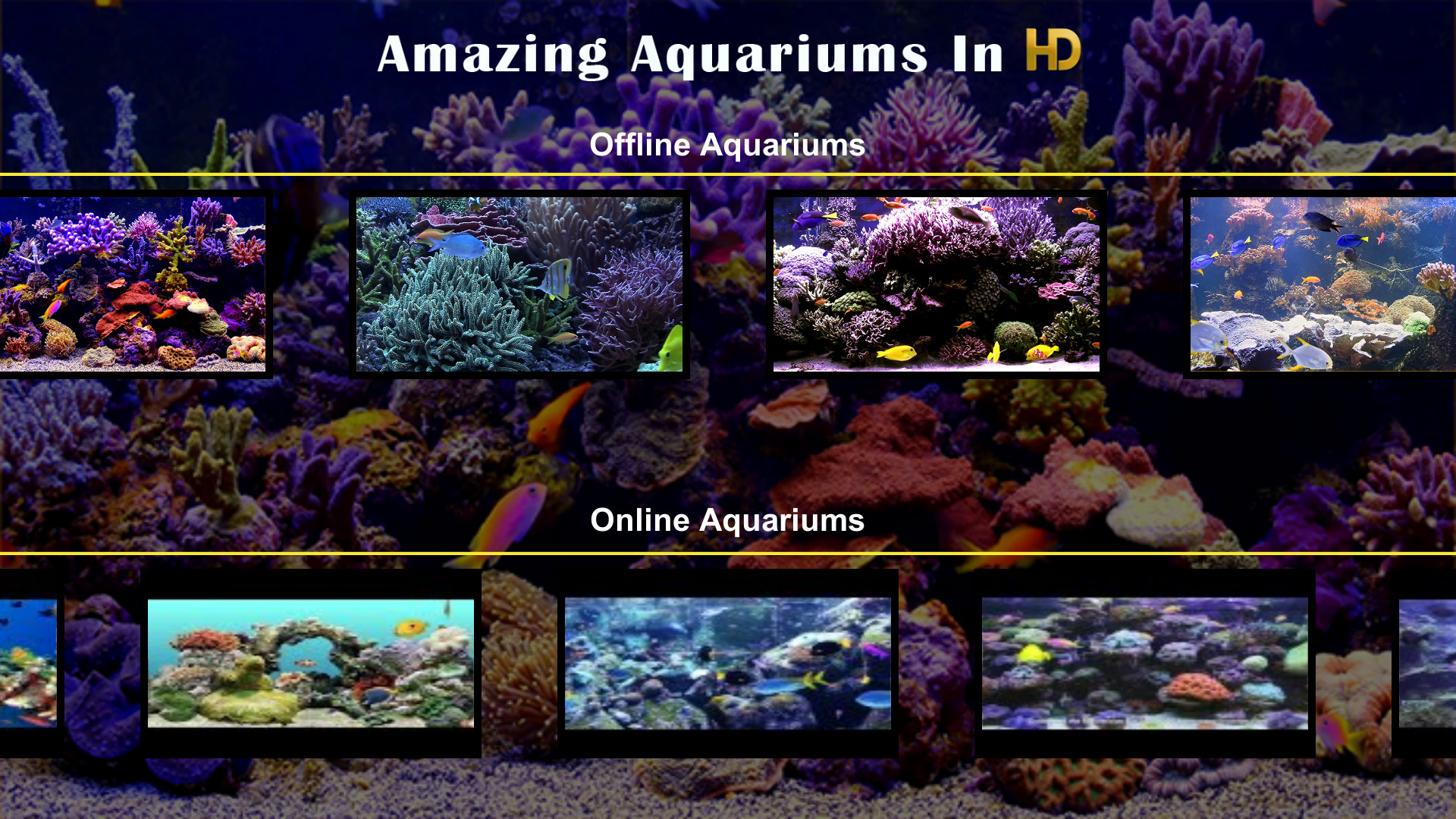 Amazing Aquariums In HD screenshot 8