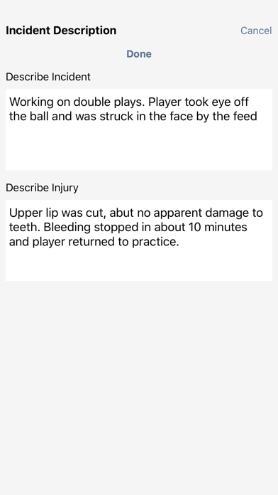 Sports Injury Report Screenshot