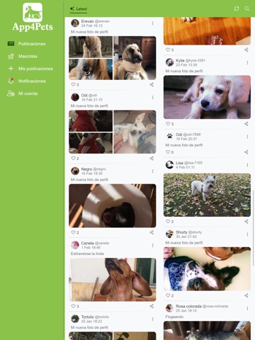 App4Pets - Red social mascotasのおすすめ画像1