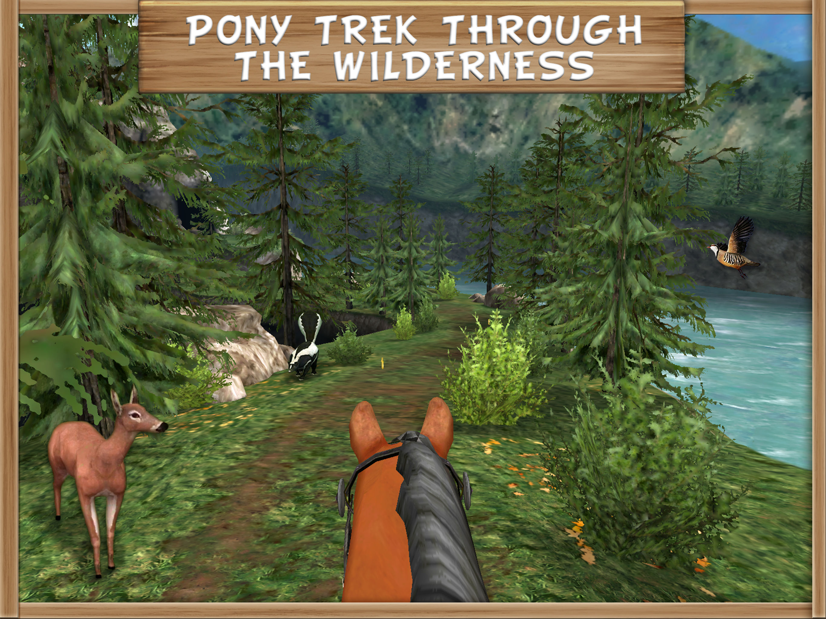 Pony Trails
