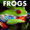 Learn About Frogs!