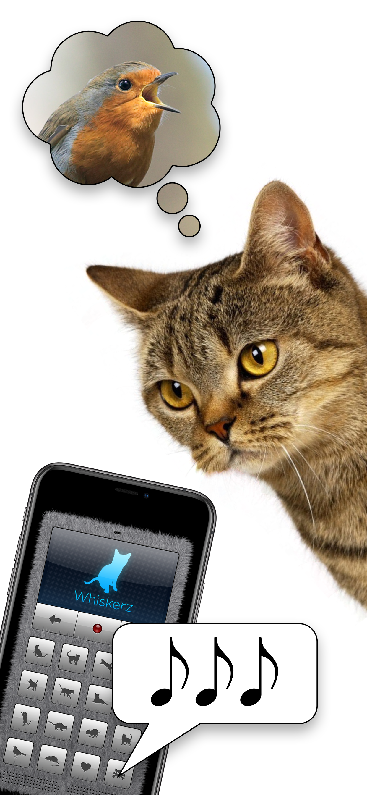 Human-to-Cat Translator Deluxe