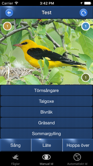 Fågelsång Id - fåglar Screenshot