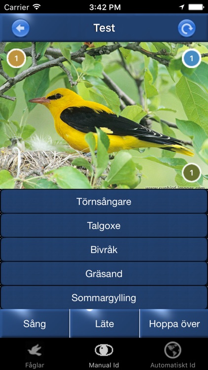 Fågelsång Id - fåglar screenshot-3
