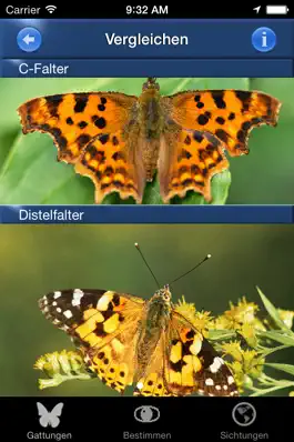 Game screenshot Schmetterling Id - Tagfalter hack