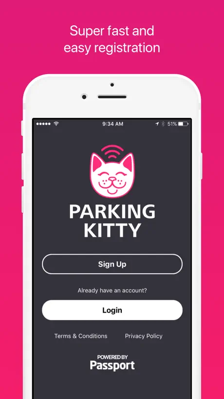 Parking Kitty