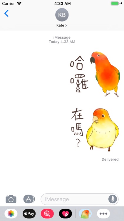 小可愛搞怪鳥家族