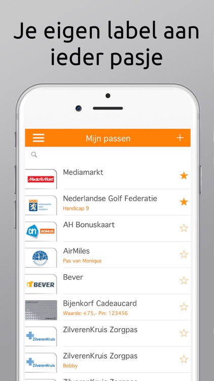 PasNL screenshot-5