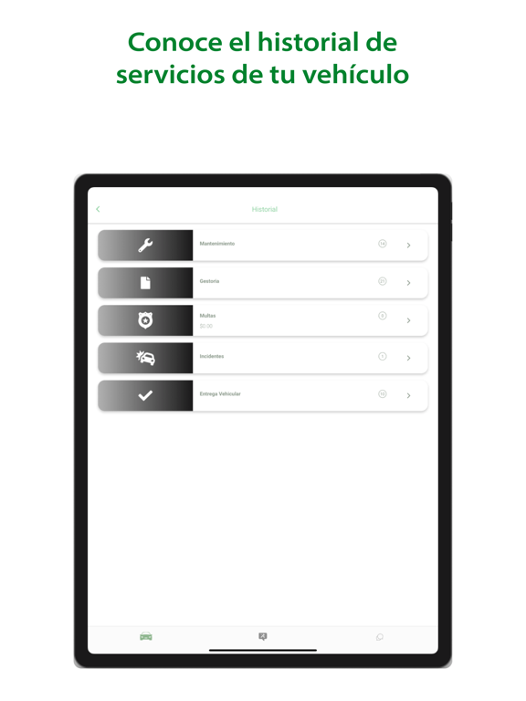 Screenshot #6 pour Soluciones Fleet