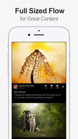 MultiTab for Flickr screenshot 2