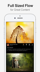 MultiTab for Flickr screenshot