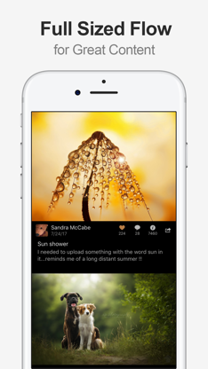 MultiTab for Flickr screenshot 2