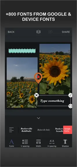 Game screenshot LayoutPic - Photo grid apk