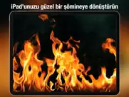 Şömine hd pro ipad resimleri 1