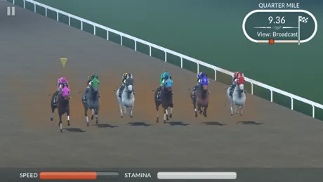 Photo Finish Horse Racing