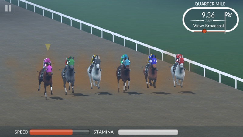 Photo Finish Horse Racing screenshot 9