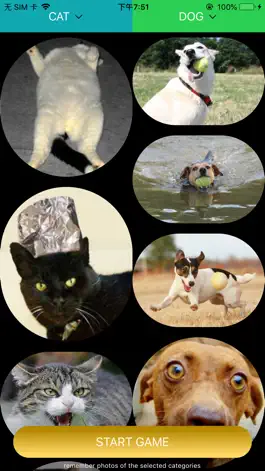 Game screenshot Sort-Master apk