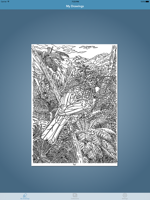 Screenshot #5 pour Colourinz