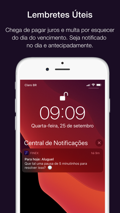 Finex - Finanças Pessoais Screenshot