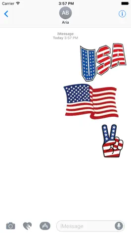 Game screenshot I Love The American Flag Icon mod apk