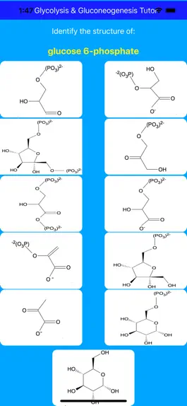 Game screenshot Glycolysis Glucogenesis Tutor hack