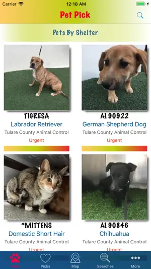 Pet Pick screenshot 3