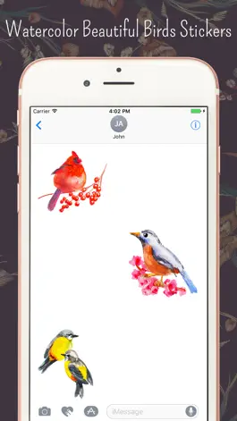 Game screenshot The Watercolor Birds apk
