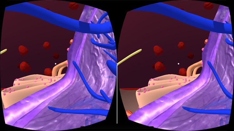 Cellular Adventure VR screenshot-4