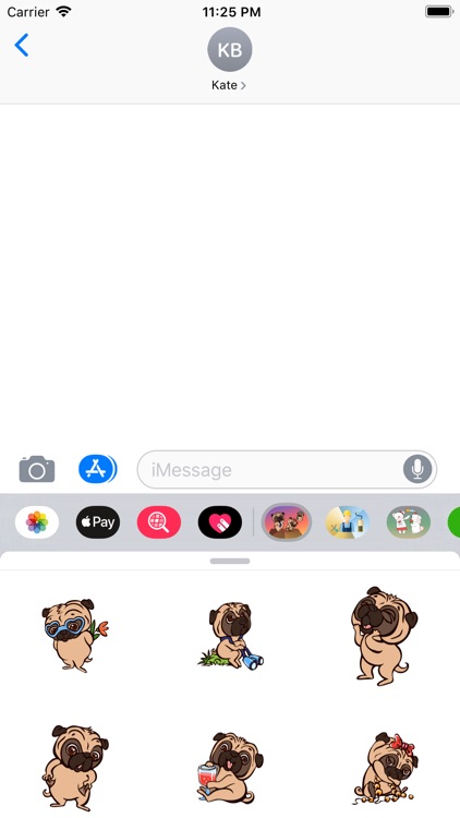 ILoveCutePugStc