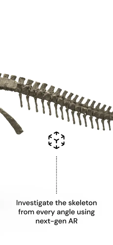 Famous Fossil