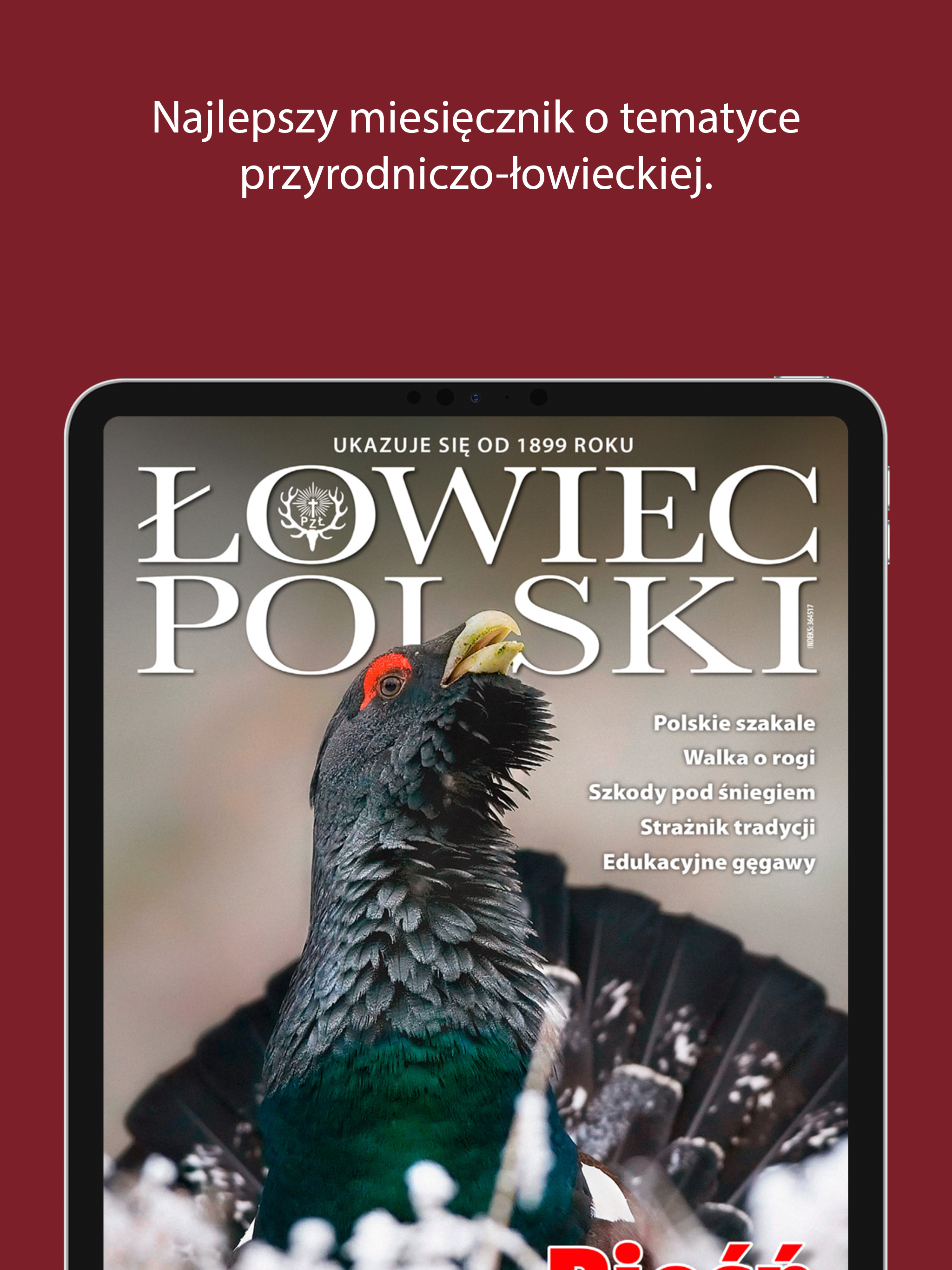 Łowiec Polski